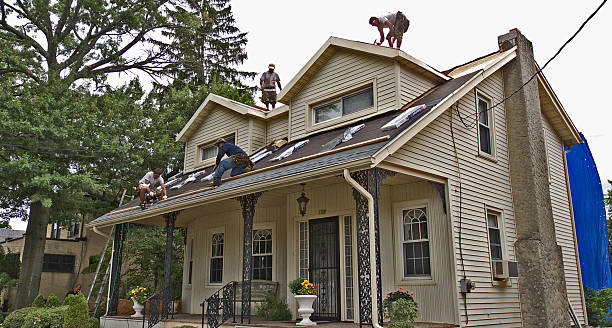 Best Roof Maintenance Services  in Bystrom, CA